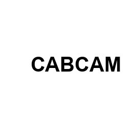 CabCAM