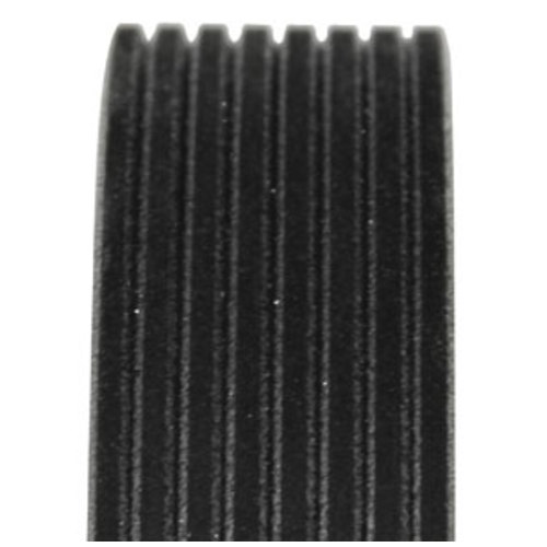 Drive Belt - image 3