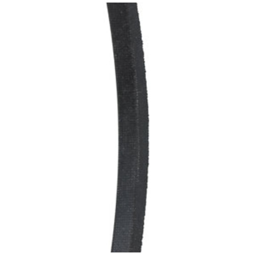  Drive Belt - image 3