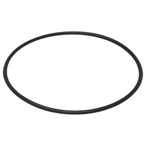  O-Ring Fuel Filter Housing - image 2