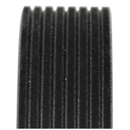  Fan Belt - image 4