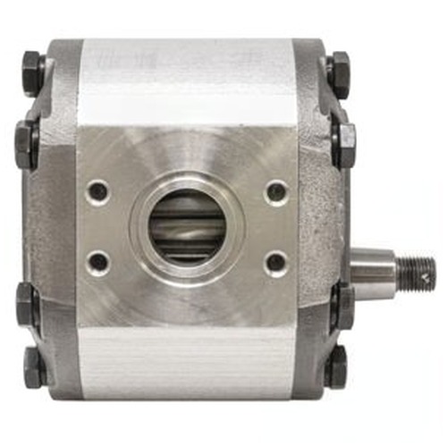  Main System Pump - image 6