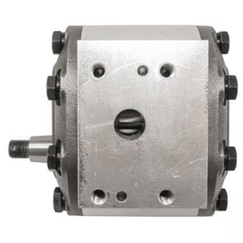  Main System Pump - image 7