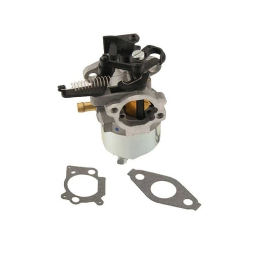 Briggs & Stratton 799479 Carburetor - Farm Parts Store